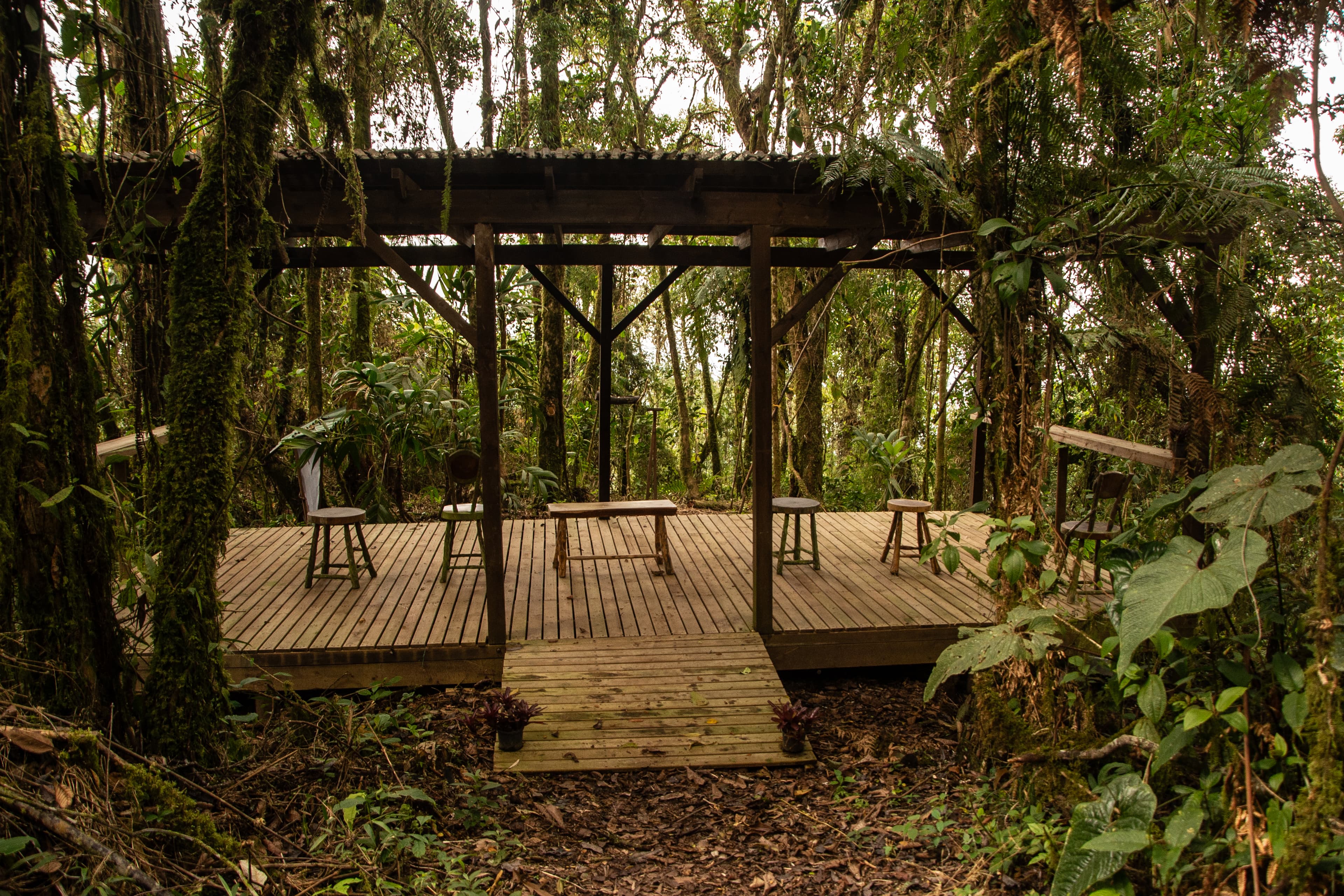 Cloud forest platform